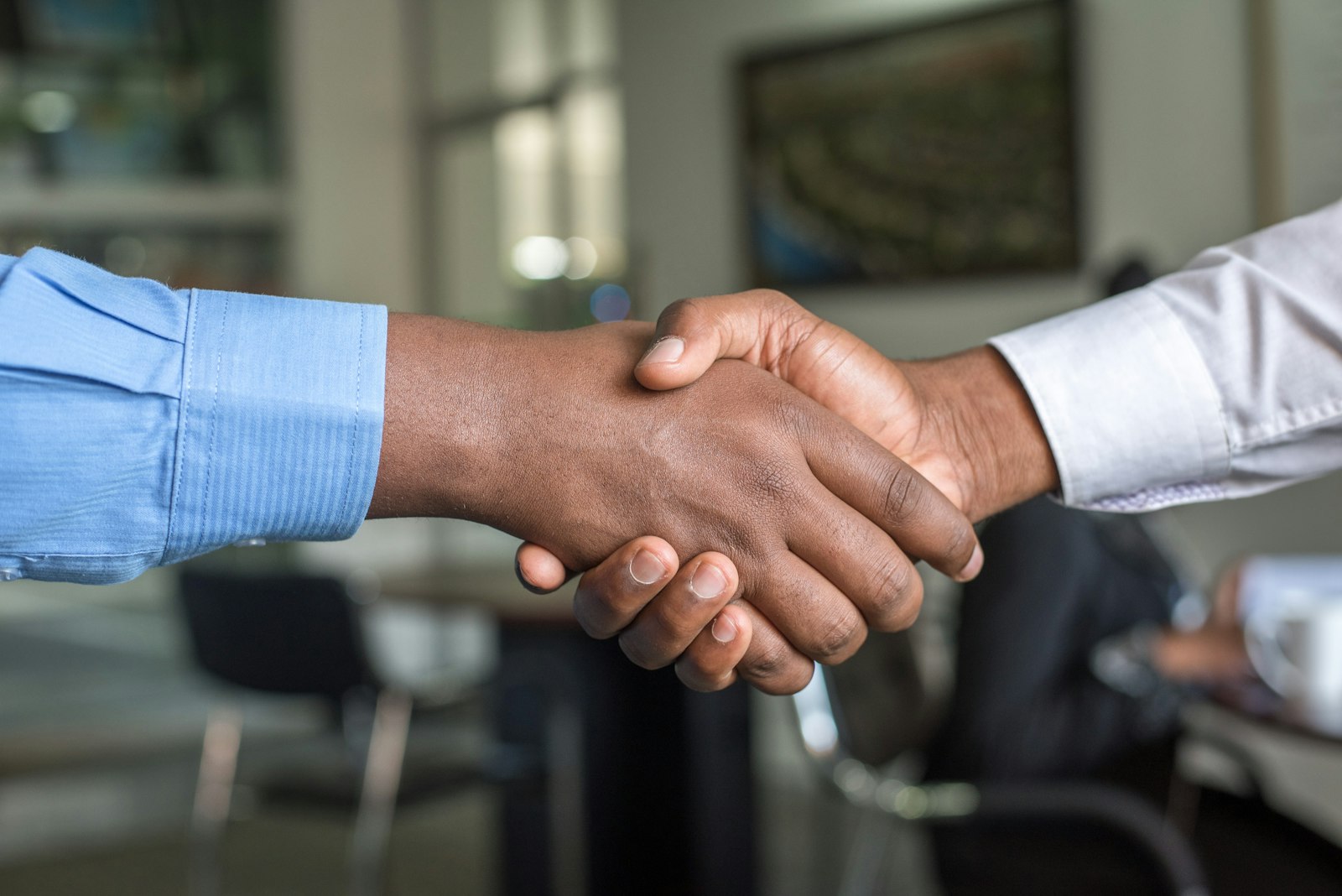 The Complete Plot-Buying Checklist Before You Sign