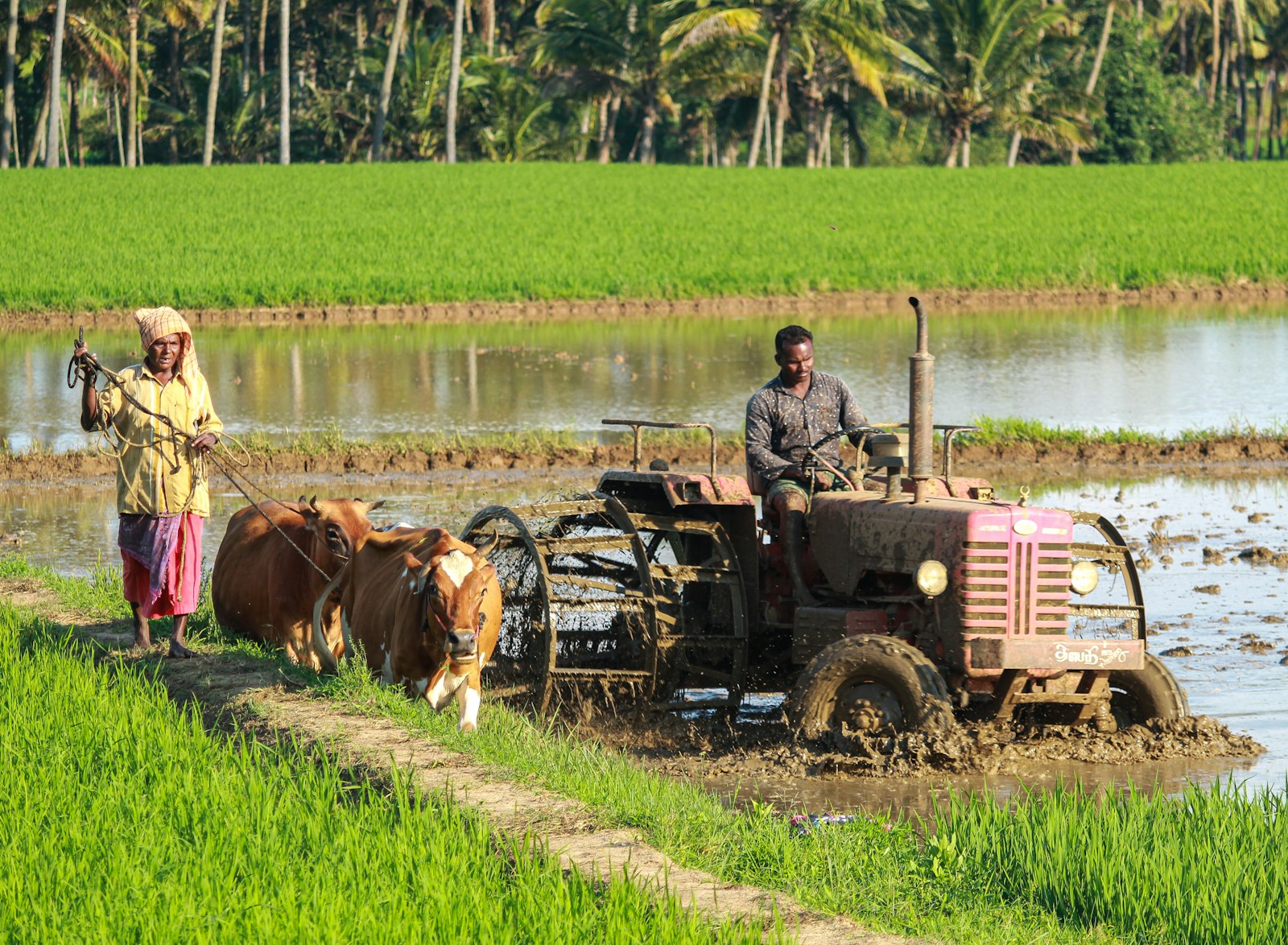 Mixed-Use Land — Ashulia